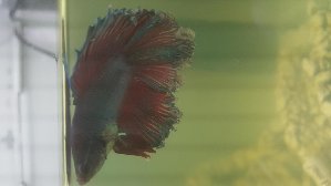 16587_5bced5002b6a0.jpg 1600X900 px