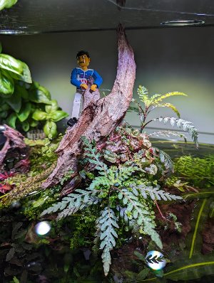 1661_656e1b2d9ab03.jpg 904X1200 px