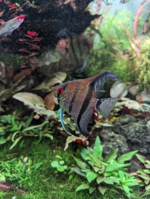 1661_656e1cff67c4b.jpg 904X1200 px