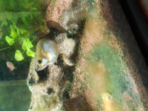 16823_5c2a4fc6a1cd8.jpg 1600X1200 px