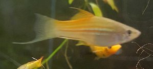 16953_5c1a618774cd7.jpg 1600X722 px