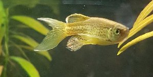 16953_5c1a619759989.jpg 1163X588 px