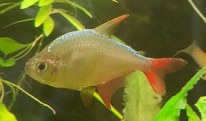 16953_5c1a61a5df016.jpg 1420X833 px