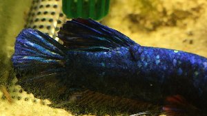 16969_5e356dd6bf7e3.jpg 1136X640 px