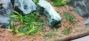 17115_5d1b13d77096b.jpg 1600X737 px