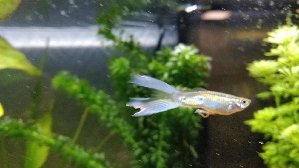 17132_5c474f1e4cb23.jpg 1600X900 px