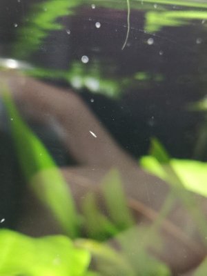 17169_5c667e76bee59.jpg 900X1200 px