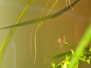 17295_5c7a8d10edf7a.jpg 1600X1200 px