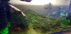 17348_5d76a9f7e4422.jpg 1600X778 px