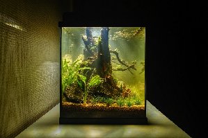 17405_5c7b9e22d1e6c.jpg 1000X666 px