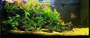 17435_5eaed71091476.jpg 1600X686 px