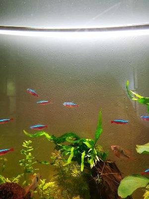 17542_5c7d257a6040c.jpg 900X1200 px