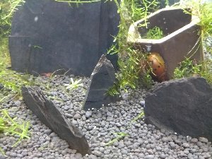 17818_5e8c96af184cb.jpg 1600X1200 px