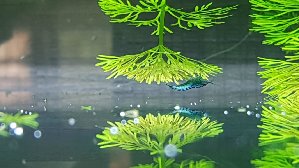 17870_5cc46baaab3a0.jpg 1365X768 px