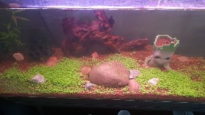 18008_5cc5d00b59fc9.jpg 1600X900 px
