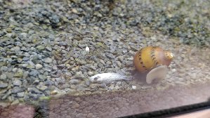 18029_5d18d14cc75a4.jpg 1600X900 px