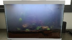 18244_5ced6e5d4e9c0.jpg 1600X898 px