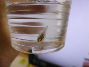 18478_5ec5404888f78.jpg 1024X768 px