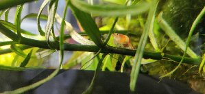 18495_5d263344269fa.jpg 1600X733 px