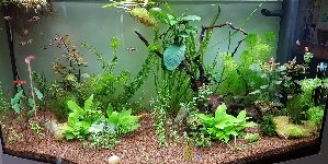 18608_5d762b0e803d5.jpg 1440X722 px