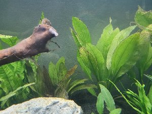 18610_5d7689fce9e5b.jpg 1121X841 px