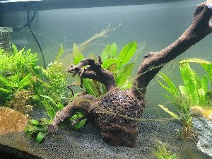 18610_5d7fd4de871ac.jpg 1220X915 px