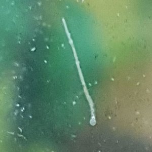 18663_5d494325811d3.jpg 1024X1024 px