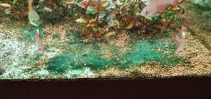 18668_5d49dd14d7461.jpg 1600X757 px