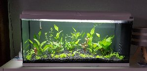 18744_5d59bdf3d8faf.jpg 1600X778 px