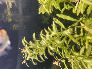 19004_5db15617a34da.jpg 1280X958 px