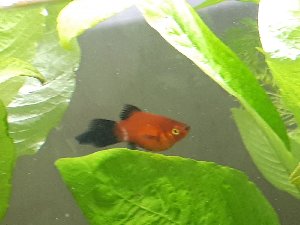 19084_5d9901cc80944.jpg 1600X1200 px