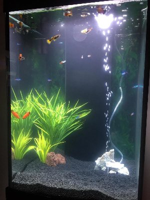 19137_5da781e98b471.jpg 900X1200 px
