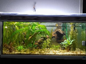 19210_6238ce18ea37b.jpg 1600X1200 px