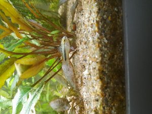 19210_6293afe2772a0.jpg 1600X1200 px