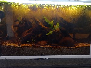 19210_64c94d6a6dcbe.jpg 1600X1200 px