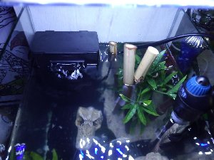 19278_5dc2d4766bbf7.jpg 1600X1200 px