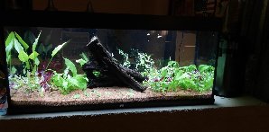 19287_5e11105d5f393.jpg 1600X789 px