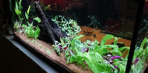 19287_5e111082e1ff6.jpg 1600X789 px