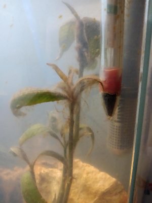 19310_5dc1c3a8b6669.jpg 900X1200 px
