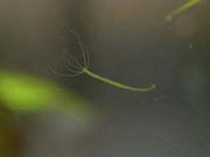 19383_5ef4d74566fa6.jpg 320X240 px