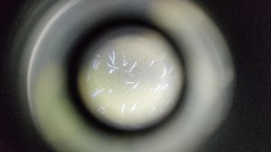 19420_5ddbdfa58a66b.jpg 1600X900 px