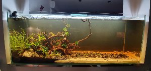 19505_5e1521cfdf604.jpg 1600X758 px
