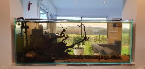 19505_5e1c6a937b019.jpg 1600X757 px