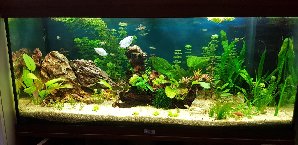 19526_5e34778348970.jpg 1600X778 px
