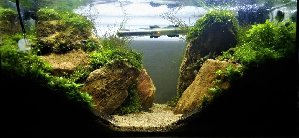19543_5e9c8fa209595.jpg 1080X499 px