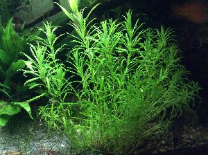 19630_5f232a5d97be5.jpg 1600X1195 px