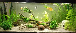 19683_5e81e0d339bbf.jpg 1600X692 px