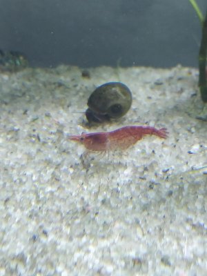 19683_5ea6d8953dd6a.jpg 900X1200 px