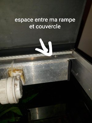 19683_5f3da850532f8.jpg 900X1200 px