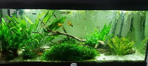 19683_604f453988cd3.jpg 1600X722 px